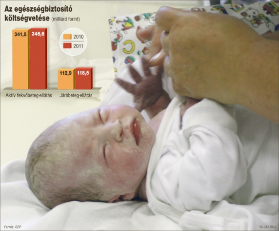 Az egészségbiztosító költségvetése Az egészségbiztosító költségvetése