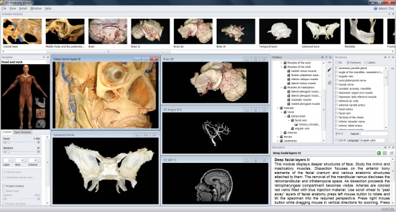 Kiállításon debütál a négydimenziós anatómiai atlasz új változata