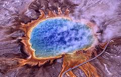 extremofil