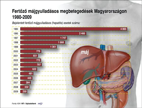 hepatitisz statisztika hepatitisz statisztika